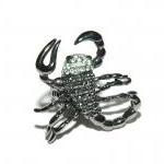 Scorpion Cockta..